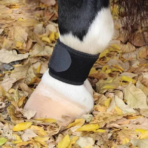 Professional's Choice VenTech Pastern Wrap