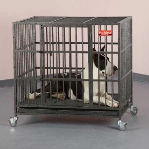 ProSelect Empire Cage L