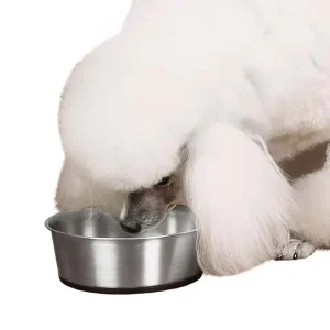 ProSelect Stainless Steel Bowl with Rubber Base 52oz