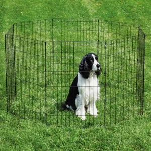 ProSelect Sure Exercise Pens