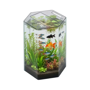 ProStar 12 Gallon Hexagon Acrylic Aquarium (15 Dia x 16") - Pro Clear