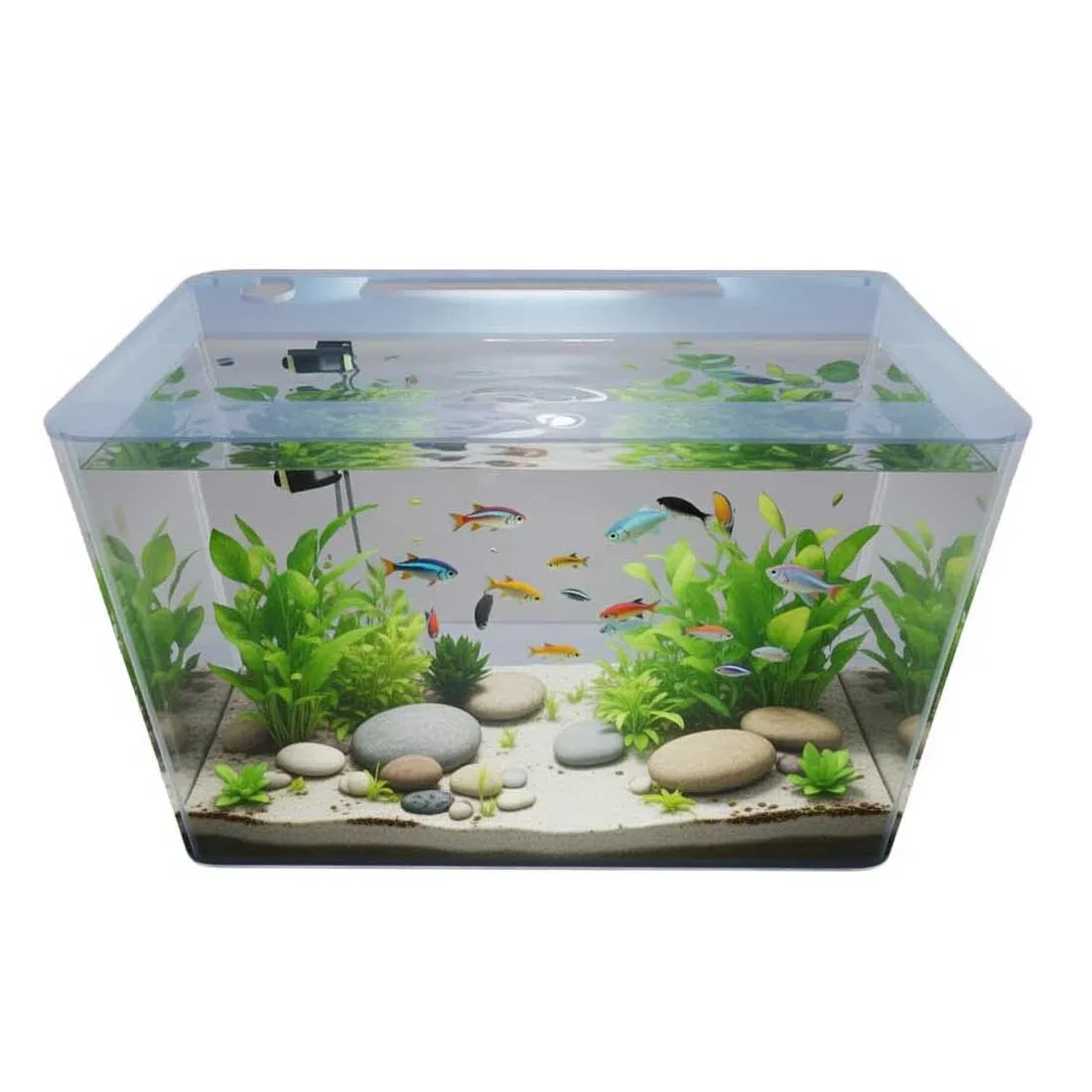 ProStar 20 Gallon Rectangular Acrylic Aquarium (24 x 13 x 16") - Pro Clear