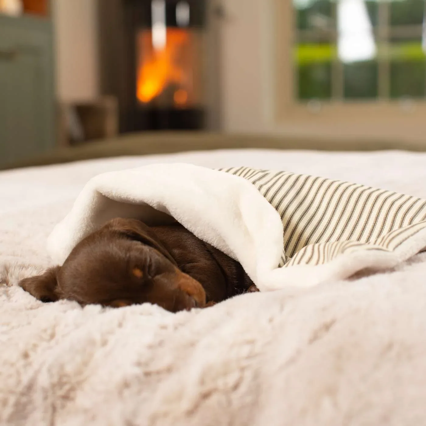 Puppy Scent Blanket in Spots & Stripes by Lords & Labradors - Image 2