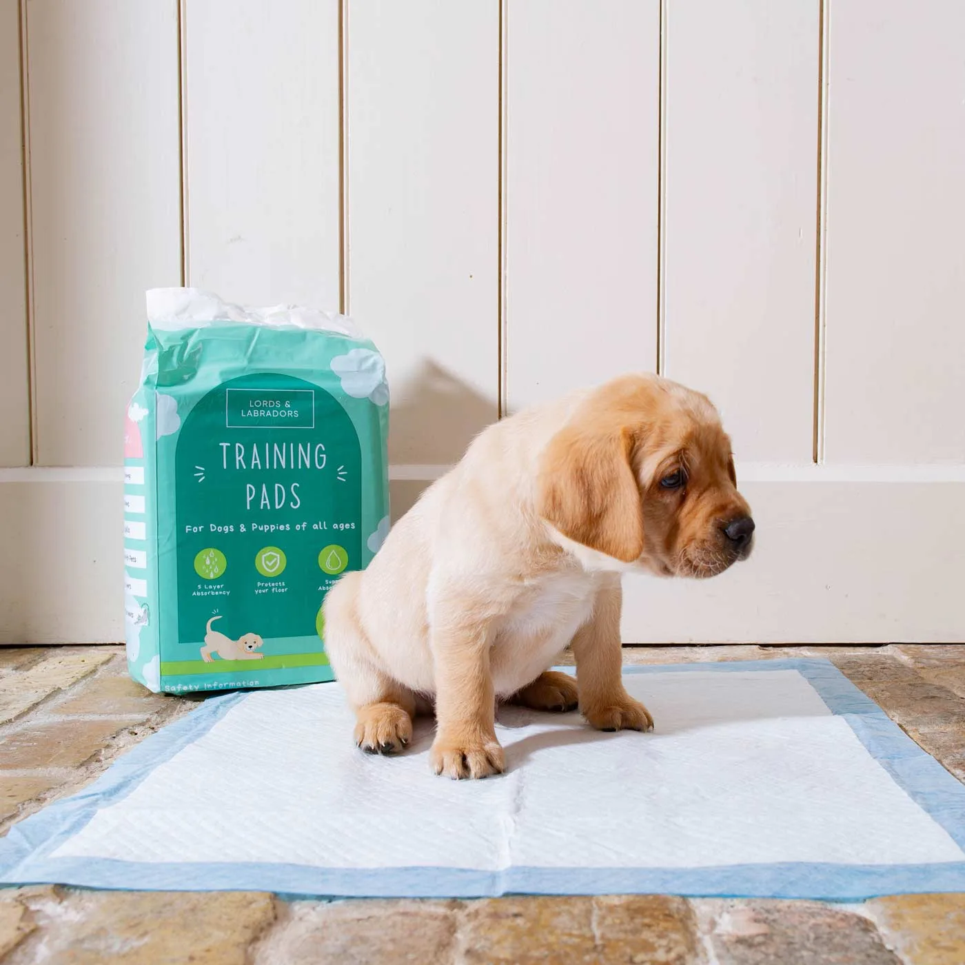 Puppy Training Pads by Lords & Labradors - Image 2