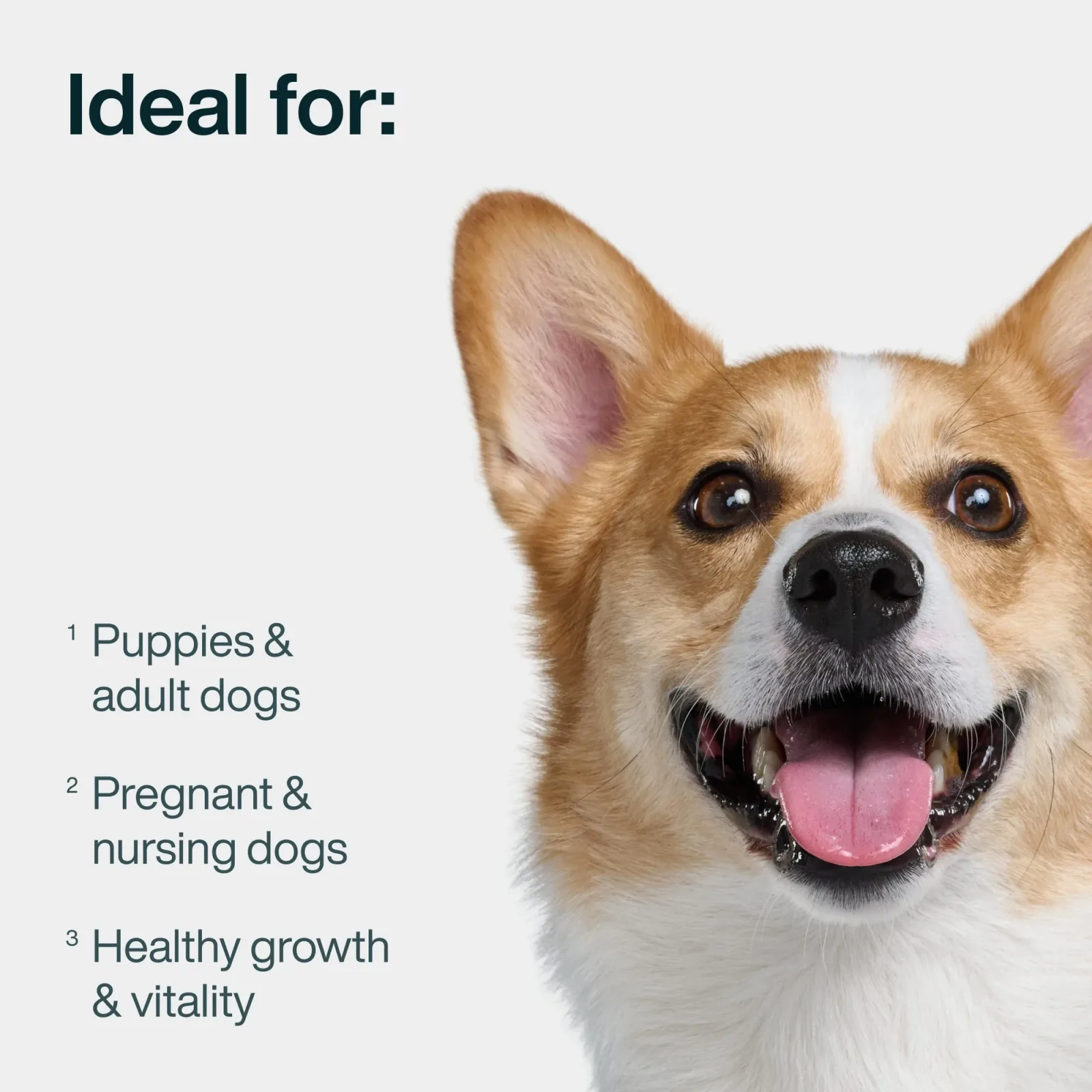 Puppy Variety Pack - Image 2
