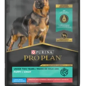 Purina Pro Plan Sensitive Skin & Stomach Salmon & Rice Large Breed Puppy