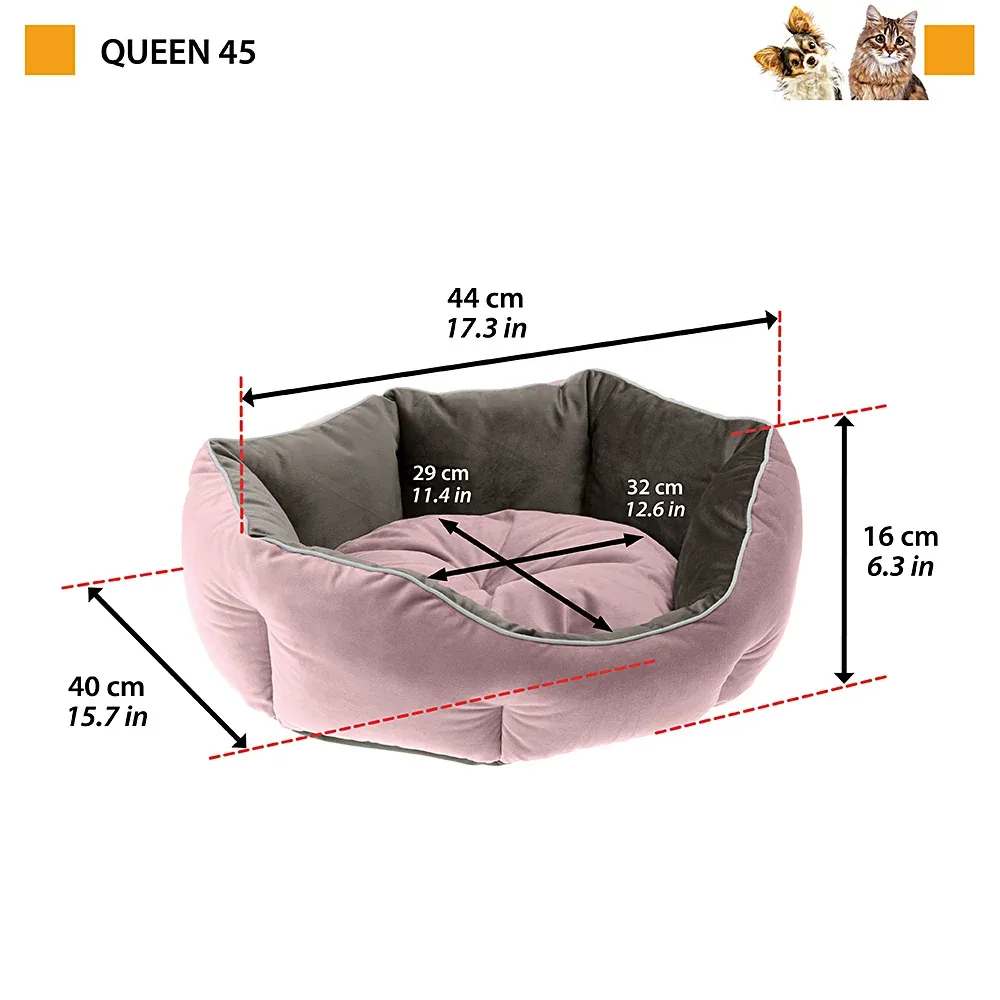 QUEEN - Image 2