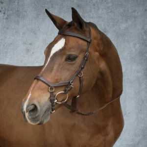 Rambo® Micklem® Competition Bridle