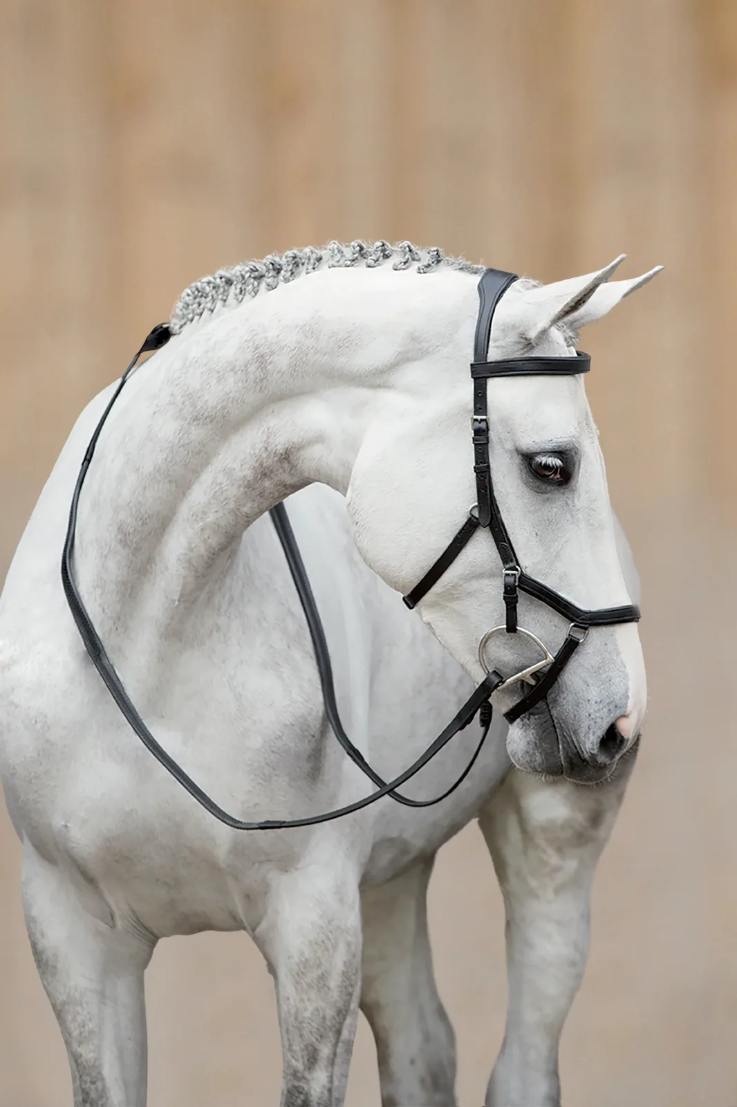 Rambo® Micklem® Competition Bridle - Image 2