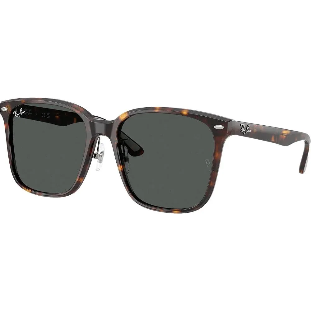 Ray-Ban Polished Havana & Dark Grey Sunglasses