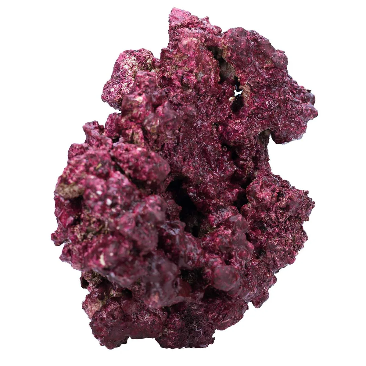 Real Reef Rock (by the pound) - Mixed Sizes - Real Reef