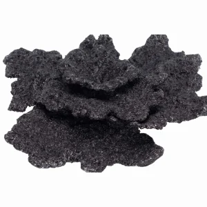 Real Reef Turbinaria Cup Plate Coral Rock MIDNIGHT BLACK (1 pc) - Real Reef