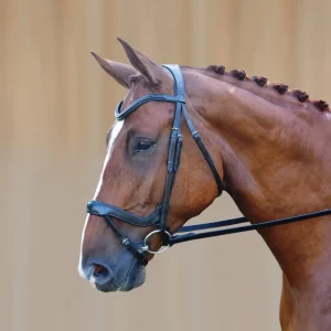 Red Barn Arena Ergonomic Snaffle