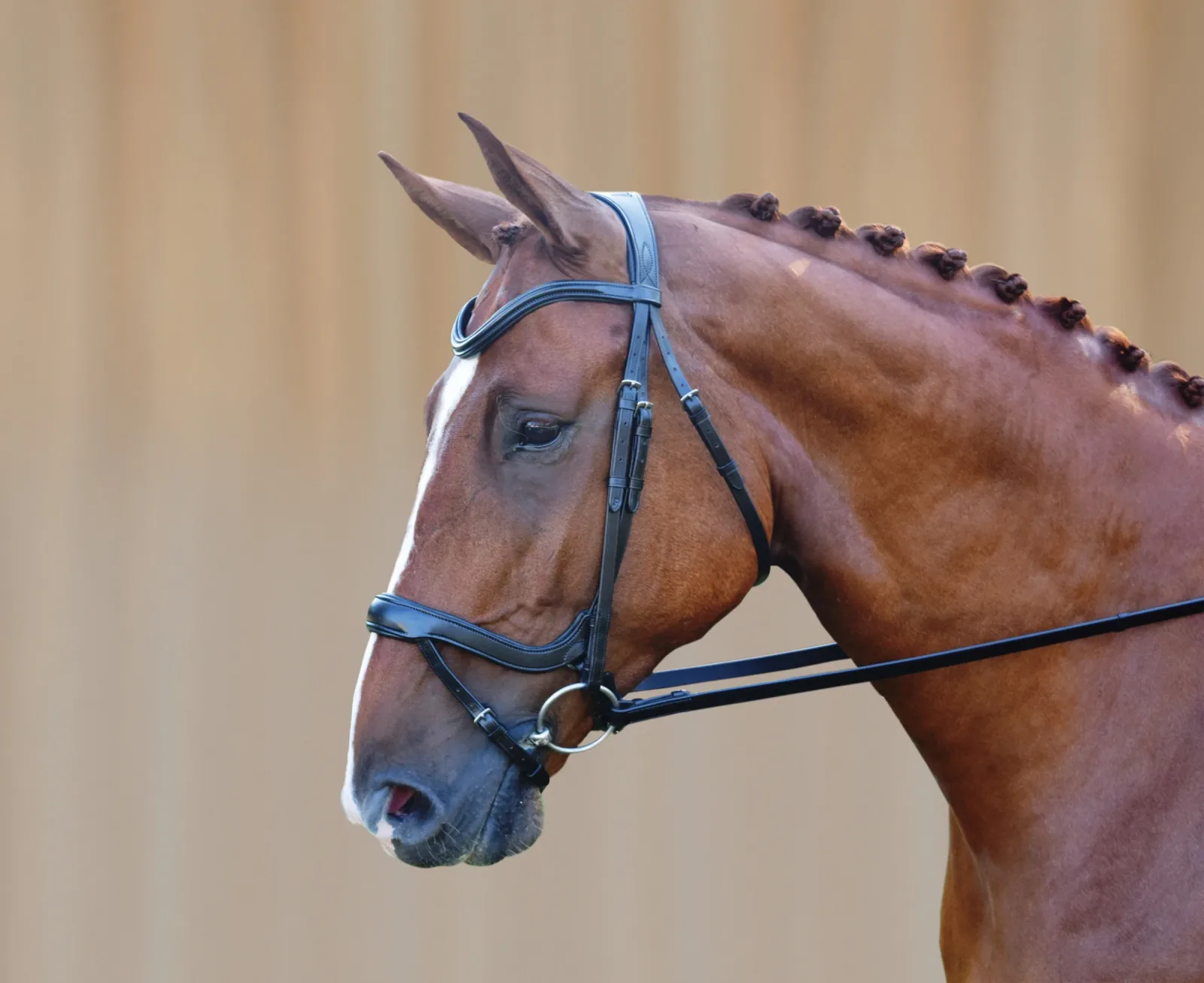 Red Barn Arena Ergonomic Snaffle