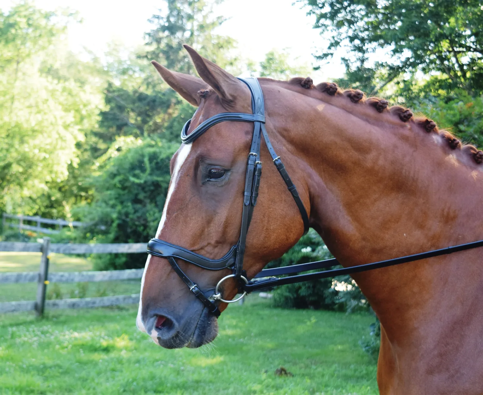 Red Barn Arena Ergonomic Snaffle - Image 2