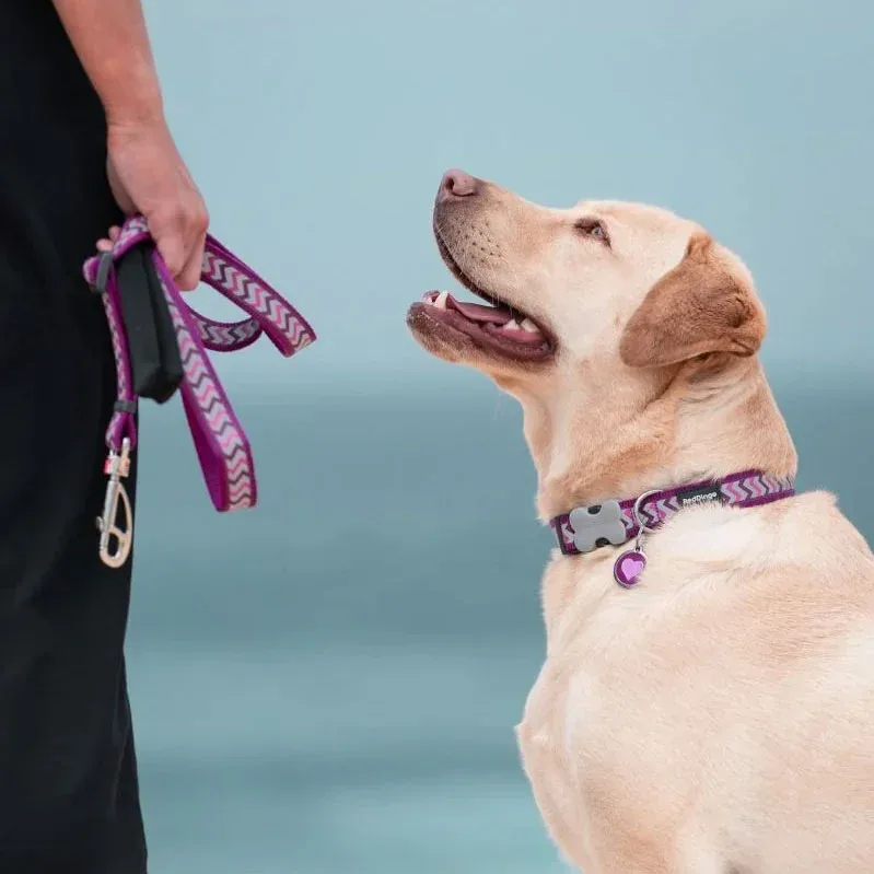 Red Dingo Purple Heart Pet ID Dog Tags - Image 2