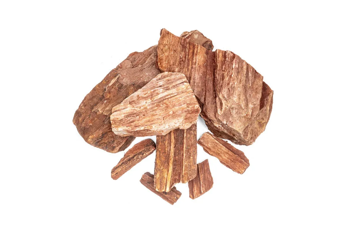 Red Petrified Wood - Image 2