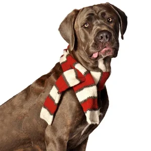 Red & White Striped Pet Scarf