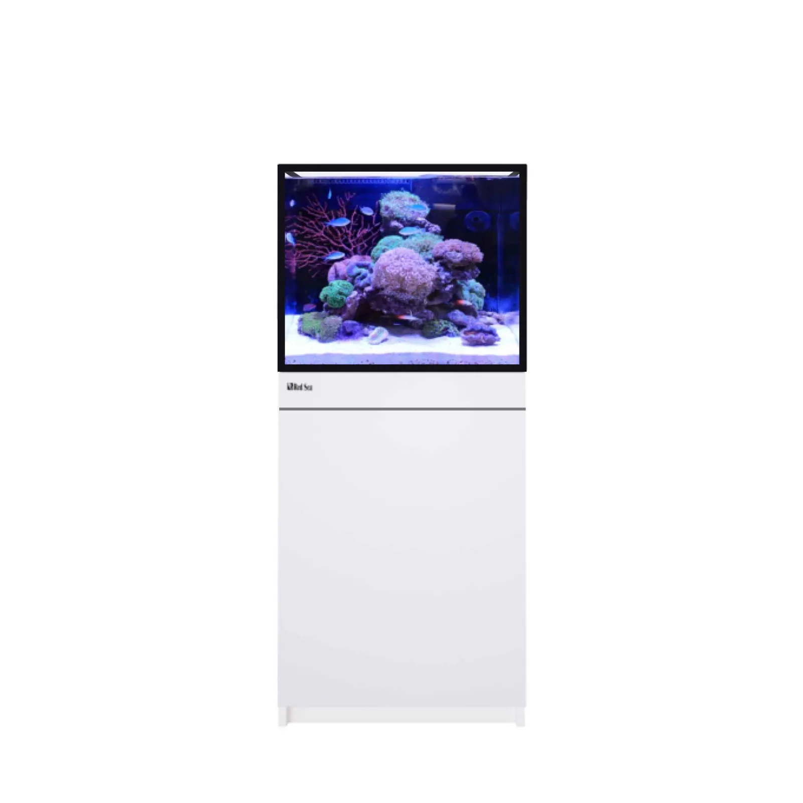 REEF-FRAME 170 - 46 Gallon White Euro-Braced Aquarium - Red Sea
