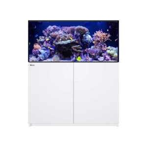 Reefer 425 G3+ White All In One Aquarium - Red Sea
