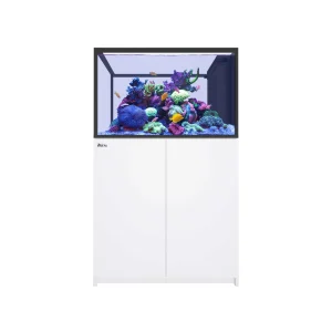 Reefer Peninsula 350 G3+ White All In One Aquarium - Red Sea