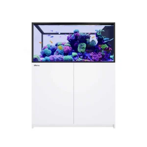 Reefer Peninsula 500 G3+ White All In One Aquarium - Red Sea