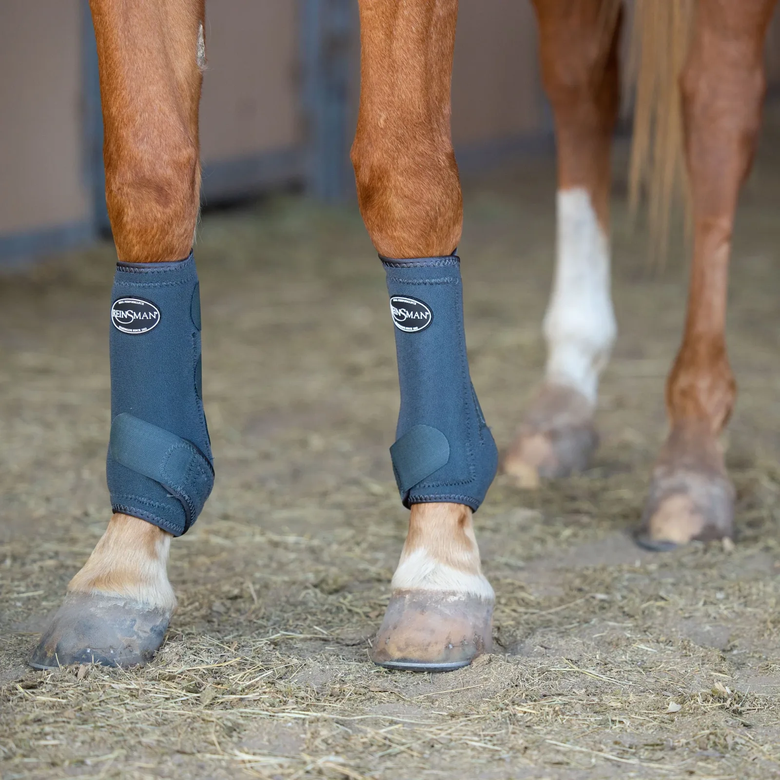 Reinsman Apex 4 Pack Performance Sport Boots - Image 2