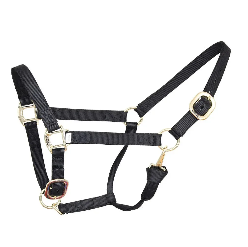 Reinsman Deluxe Black Nylon Average Halter