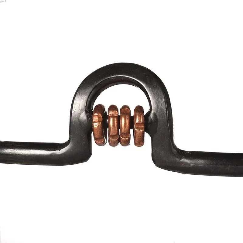 Reinsman West Coast Classic Bit with Sweet Iron Port - Image 2