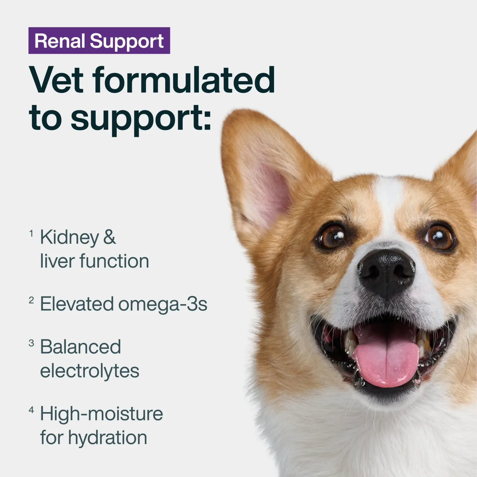 Renal Support Low Protein - Image 2