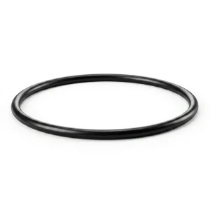 Replacement O-Ring for Iwaki MD-55RLT / MD-70RLT Water Pump