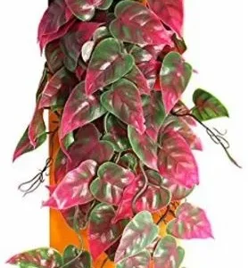 Reptology Climber Vine - Red/Green