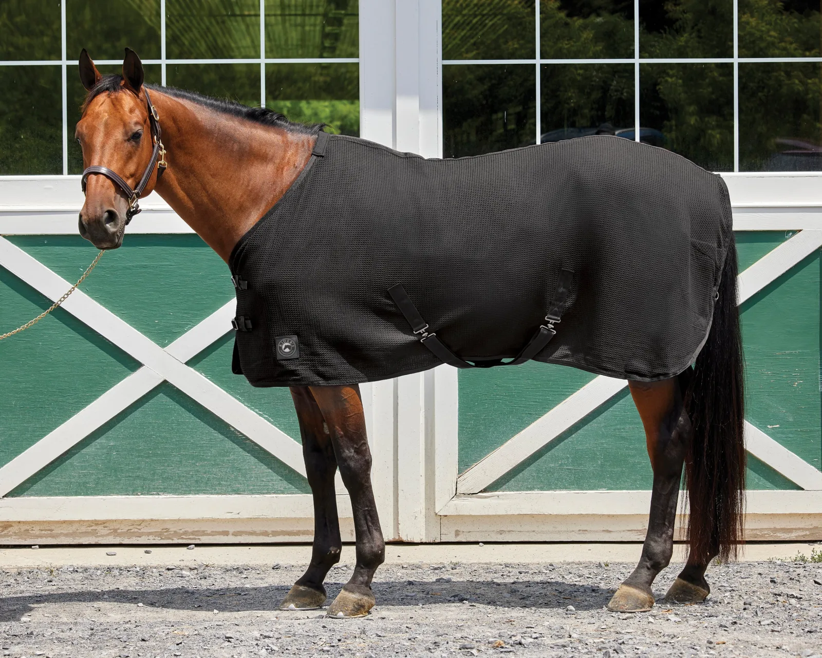 Rider’s International™ Chill Chaser - Image 2