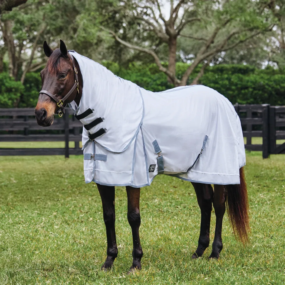 Rider’s International™ Light Mesh Fly Sheet