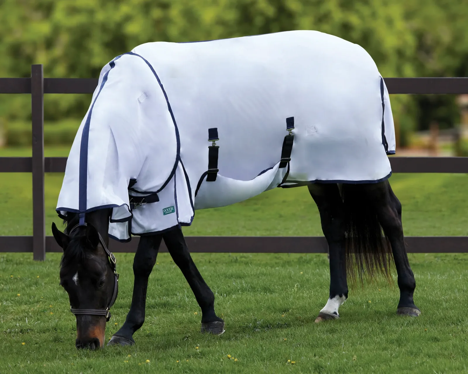 Rider's International™ Removable Neck Fly Sheet with Belly Band - Image 2