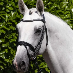 Rivere Anatomical Snaffle Bridle with Flash Black
