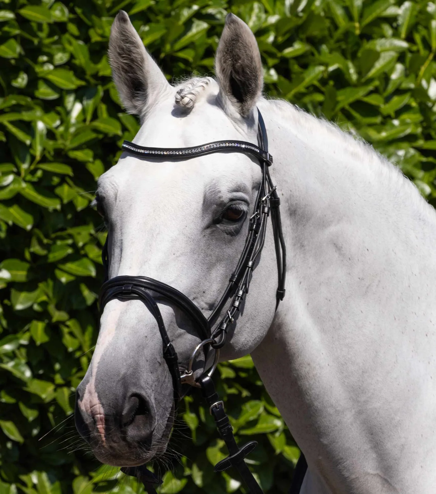 Rivere Anatomical Snaffle Bridle with Flash Black