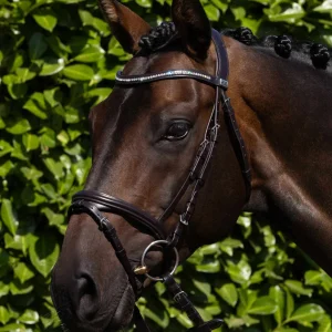 Rivere Anatomical Snaffle Bridle with Flash Brown