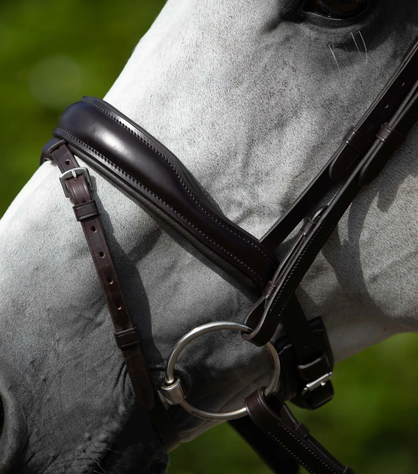 Rizzo Anatomic Flash Noseband Brown - Image 2