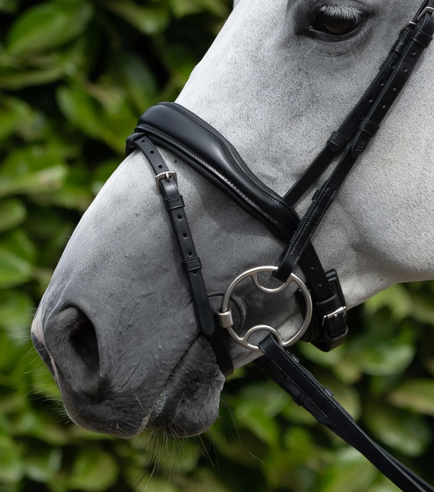 Rizzo Anatomical Flash Noseband Black - Image 2