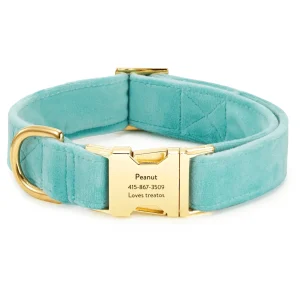Robin’s Egg Velvet Dog Collar