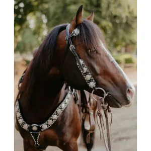Rodeo Quincy Black Dinero Breast Collar