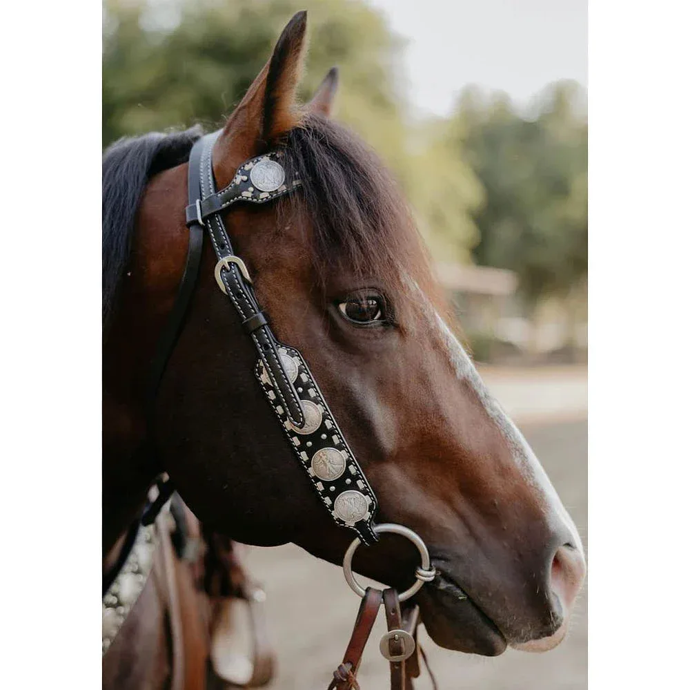 Rodeo Quincy Black Dinero Single Ear Headstall