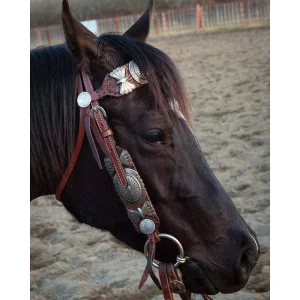 Rodeo Quincy Elko Browband Headstall