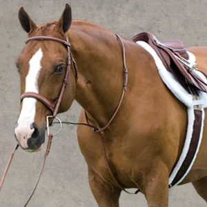 Rodrigo Raised Fancy Stitched Martingale