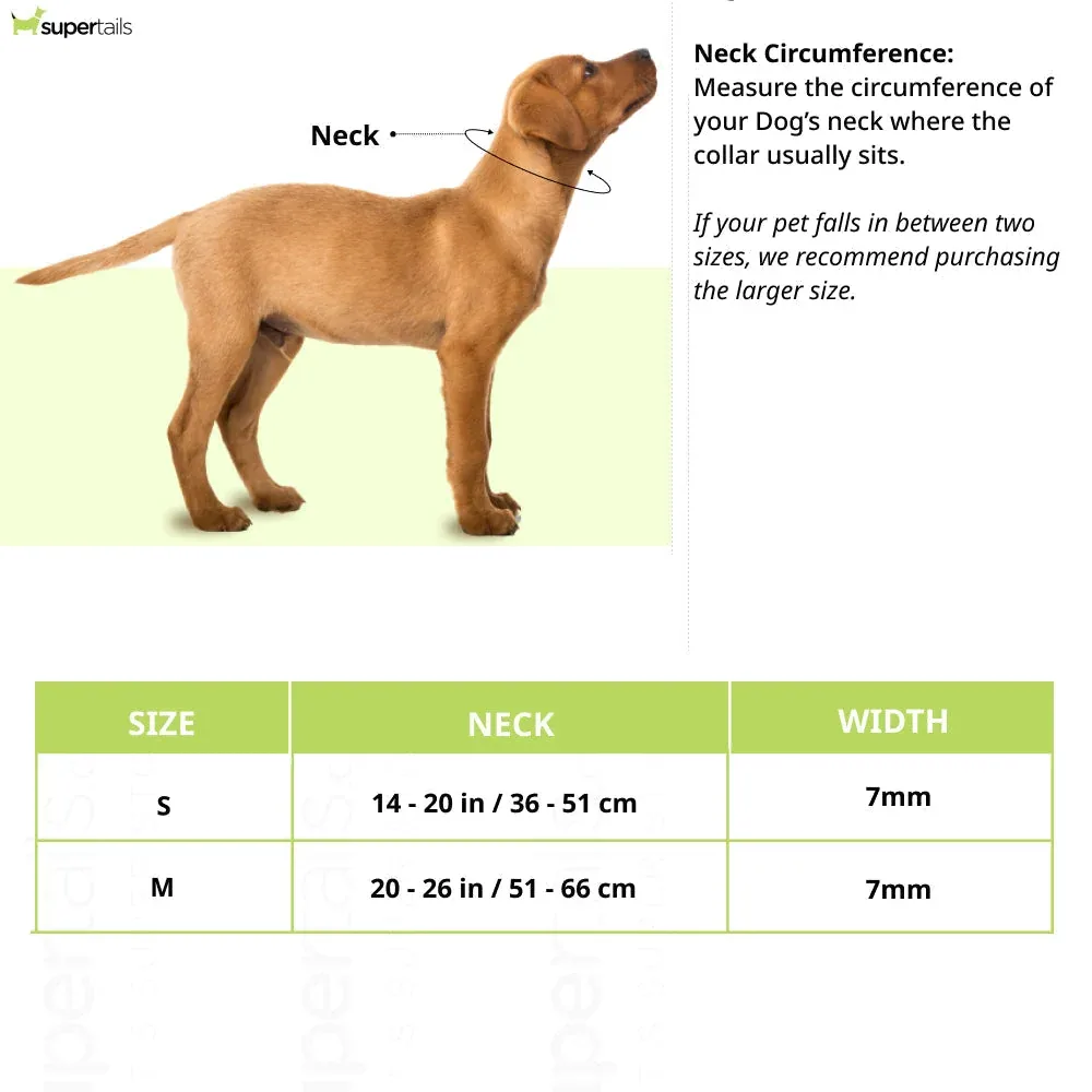 Ruffwear Knot a Collar Rope for Dogs (Pumpkin Orange) - Image 2