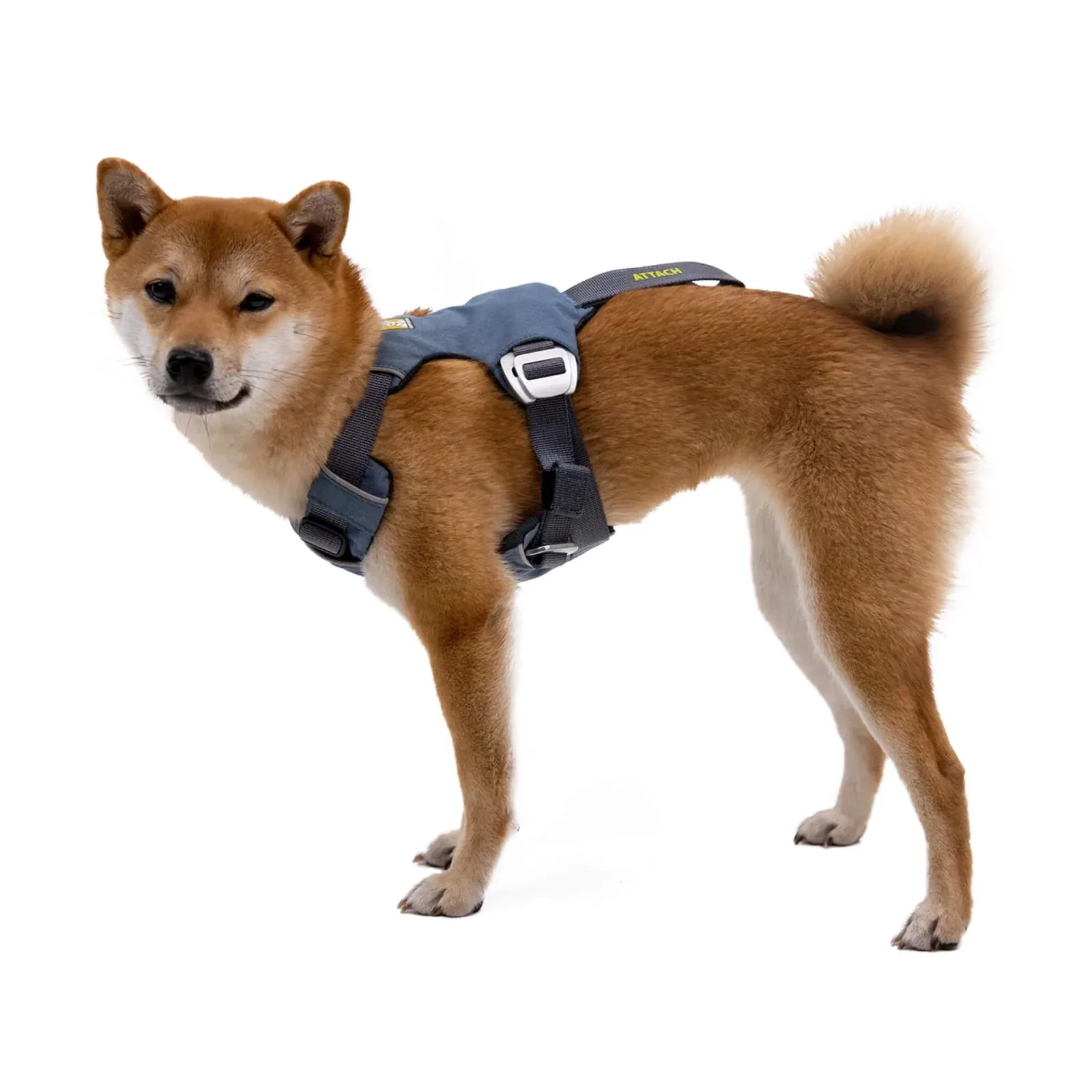 RuffWear Load Up Car Safety Dog Harness - Image 2