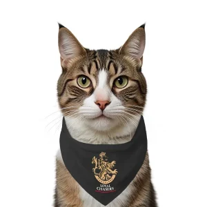 Ruse IPL Loyal Chasers Bangalore Printed Bandana for Cats (Black) | Indian Pet League
