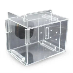 SaltwaterAquarium Small Acrylic Fish & Pest Trap 6" x 4" x 4" for Aquarium | Acclimation Isolation Box Fish Tank Breeding Box