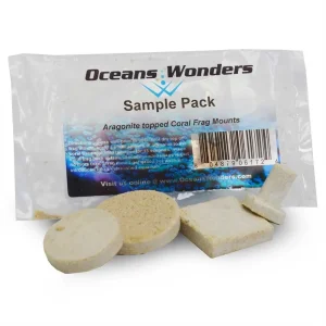 (SAMPLE) Agrocrete Coral Frag Mounts - Oceans Wonders